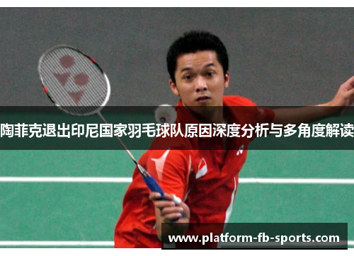 陶菲克退出印尼国家羽毛球队原因深度分析与多角度解读
