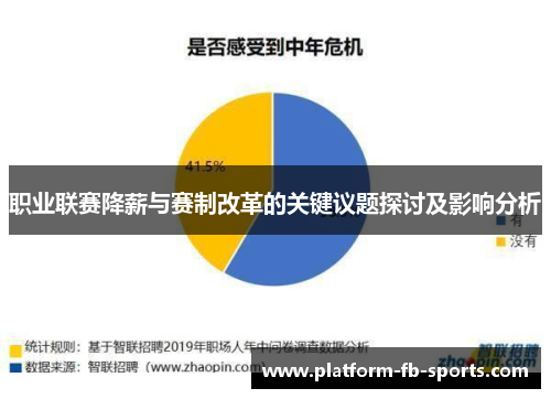 职业联赛降薪与赛制改革的关键议题探讨及影响分析