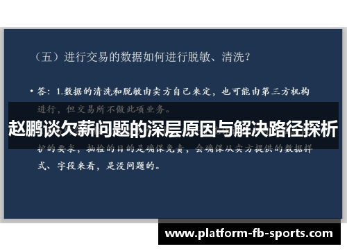 赵鹏谈欠薪问题的深层原因与解决路径探析