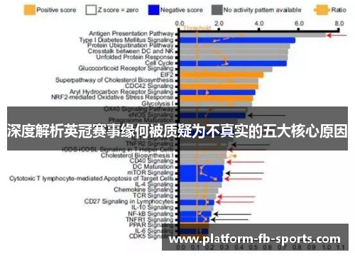 深度解析英冠赛事缘何被质疑为不真实的五大核心原因