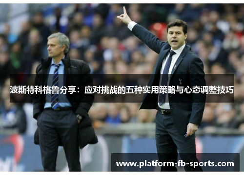 波斯特科格鲁分享：应对挑战的五种实用策略与心态调整技巧