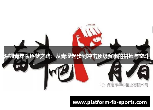 深圳青年队逐梦之路：从青涩起步到冲击顶级赛事的拼搏与奋斗